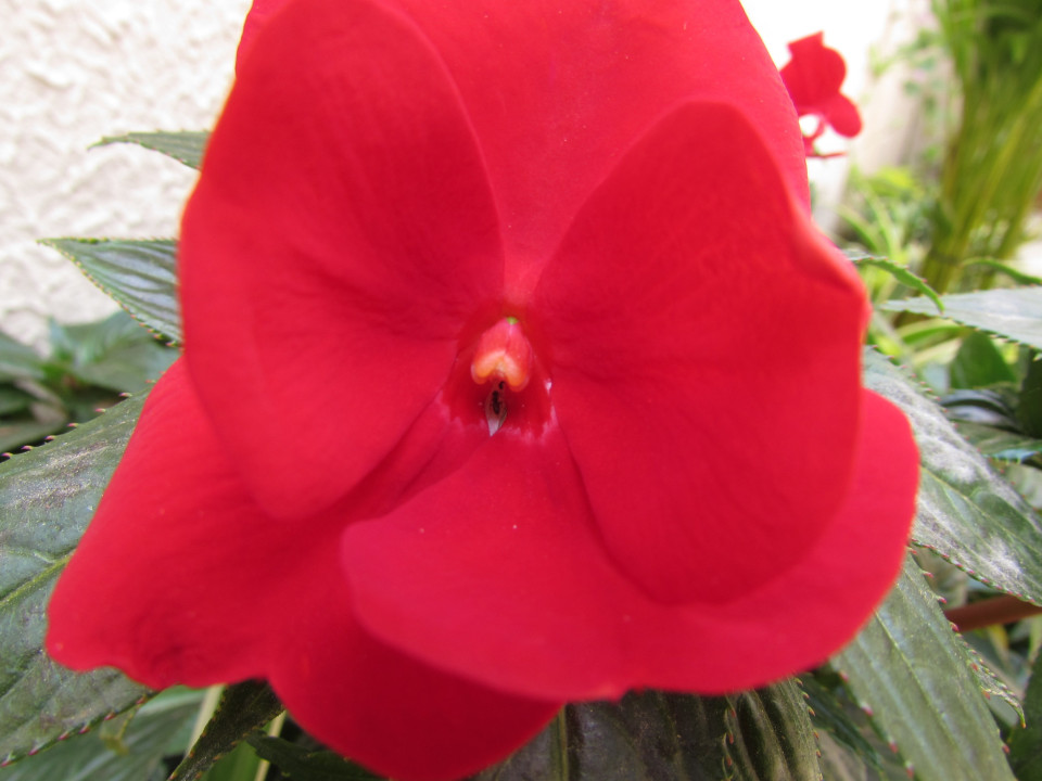 Eu e o @tsworldclub fazendo uma farra gostosa...